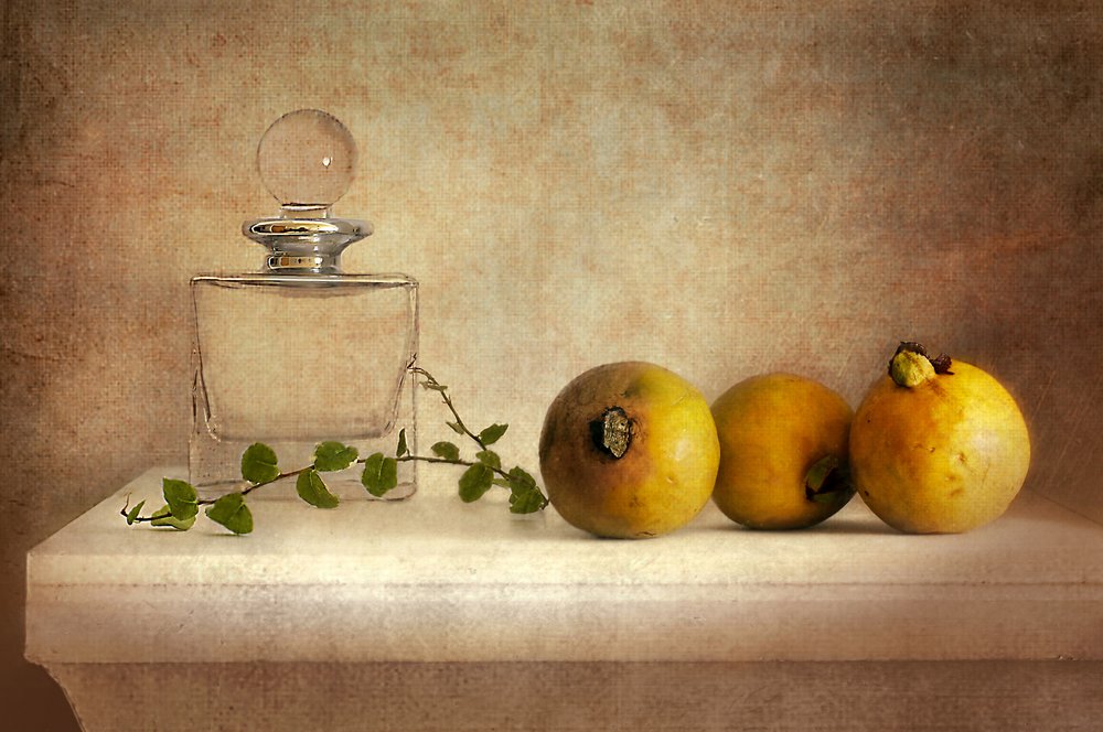 Vintage-stillbilde av guava av Elena Arjona