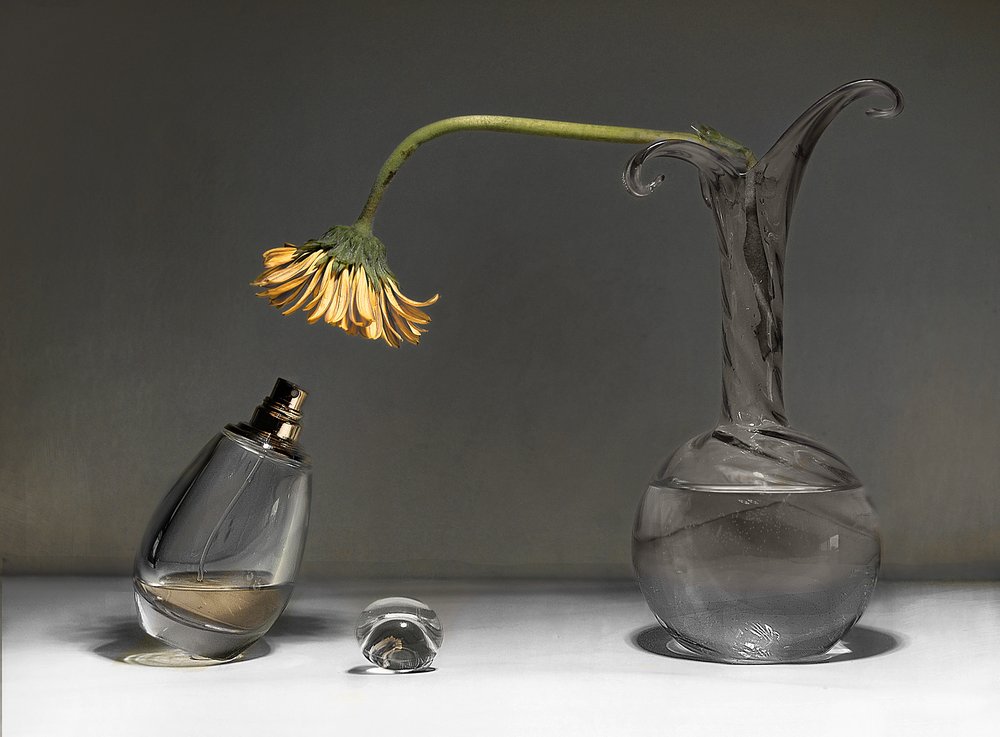 Stilleben med visne blomster av Elena Arjona