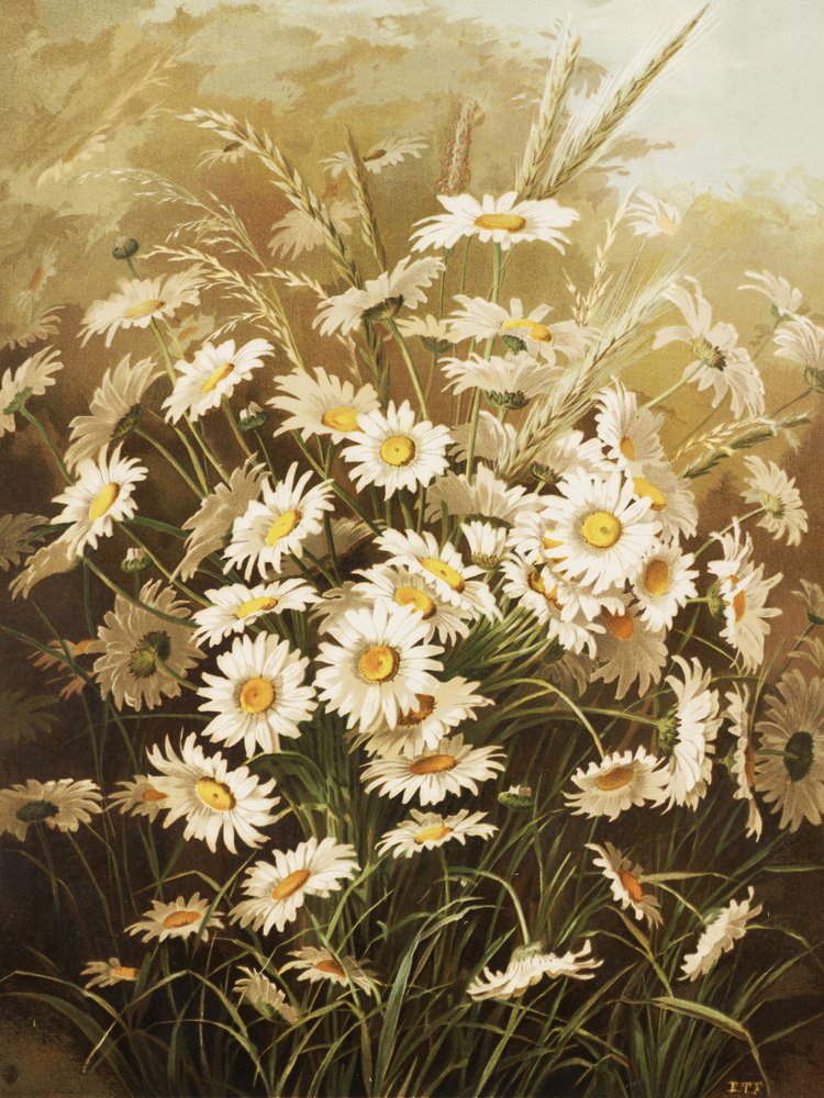 av Ellen Thayer Fisher