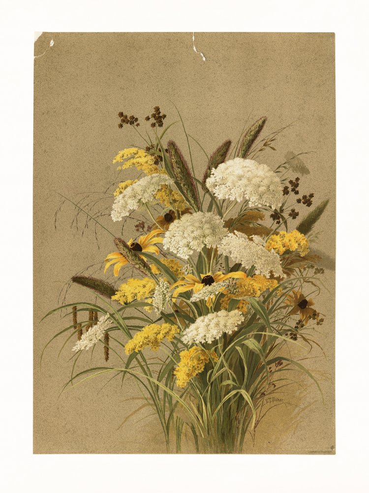  av Ellen Thayer Fisher