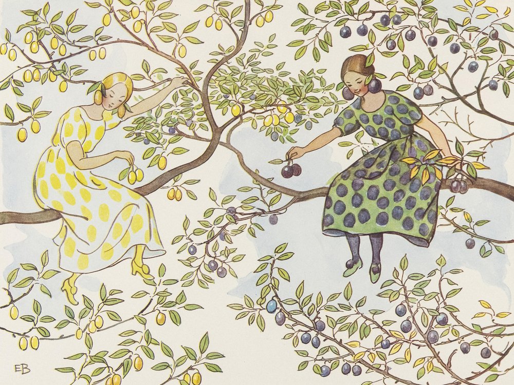 Plommon-søstrene av Elsa Beskow