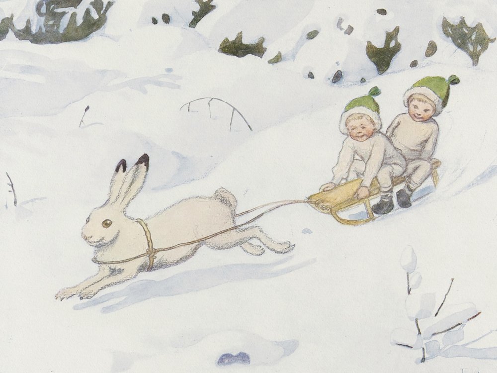 Snøharen av Elsa Beskow