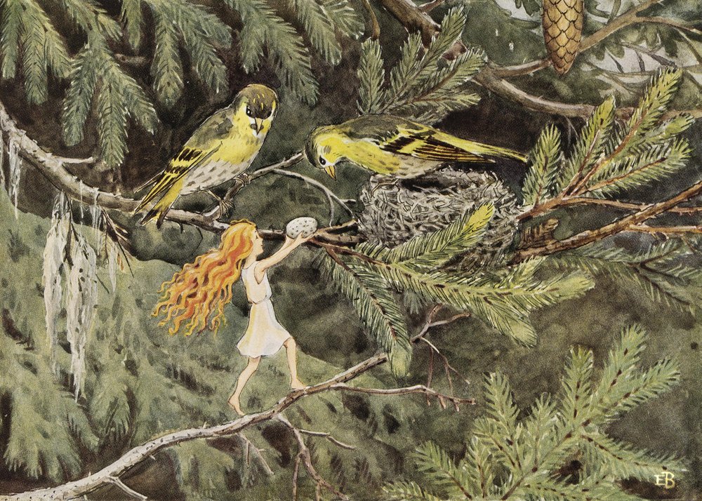 Solägget (1932) Fuglene av Elsa Beskow
