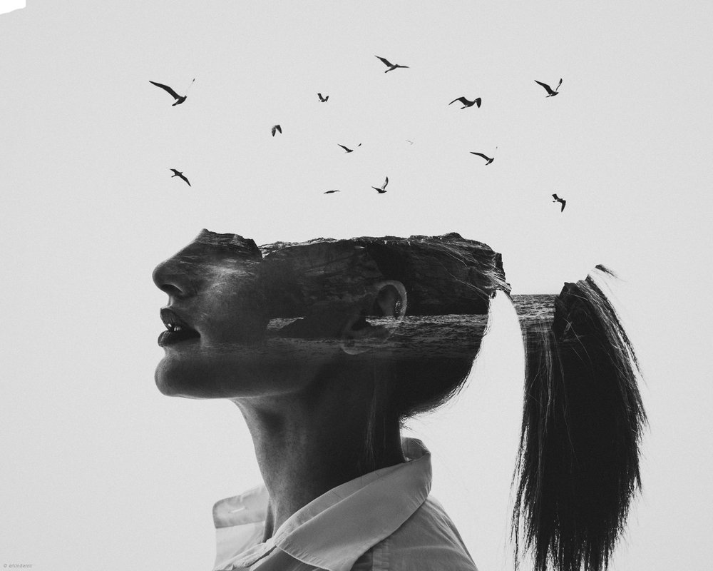  av Erkin Demir