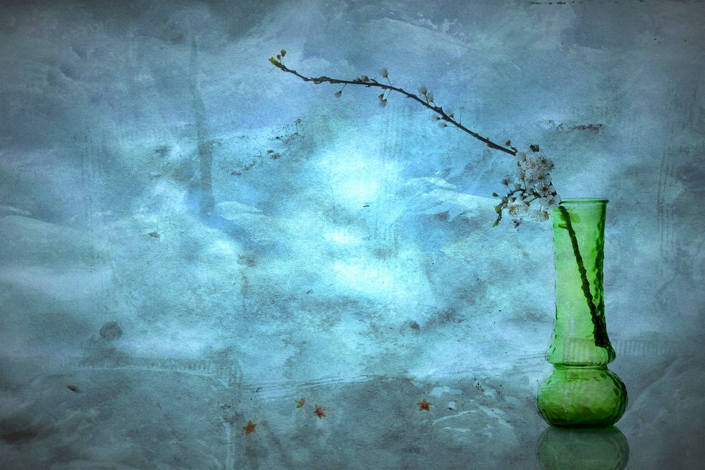 Stille blå blomster av Eyal Amer