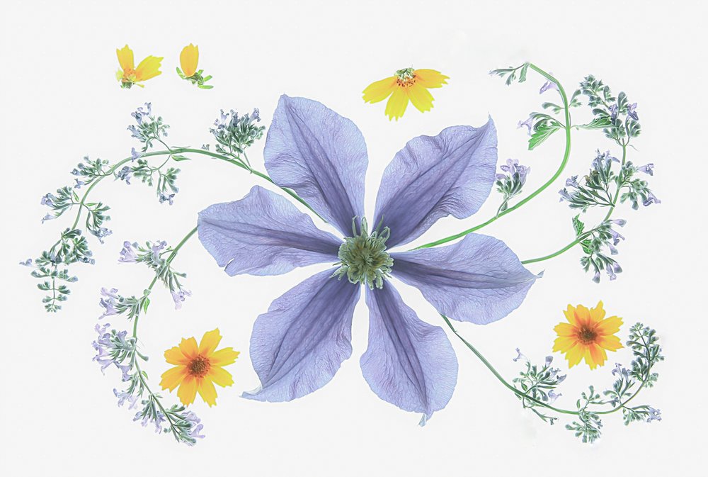 Frisk blomsterkomposisjon av Fangping Zhou