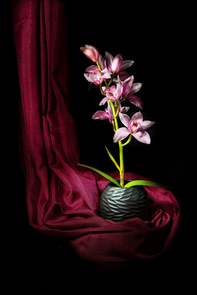  av Felice Angelino