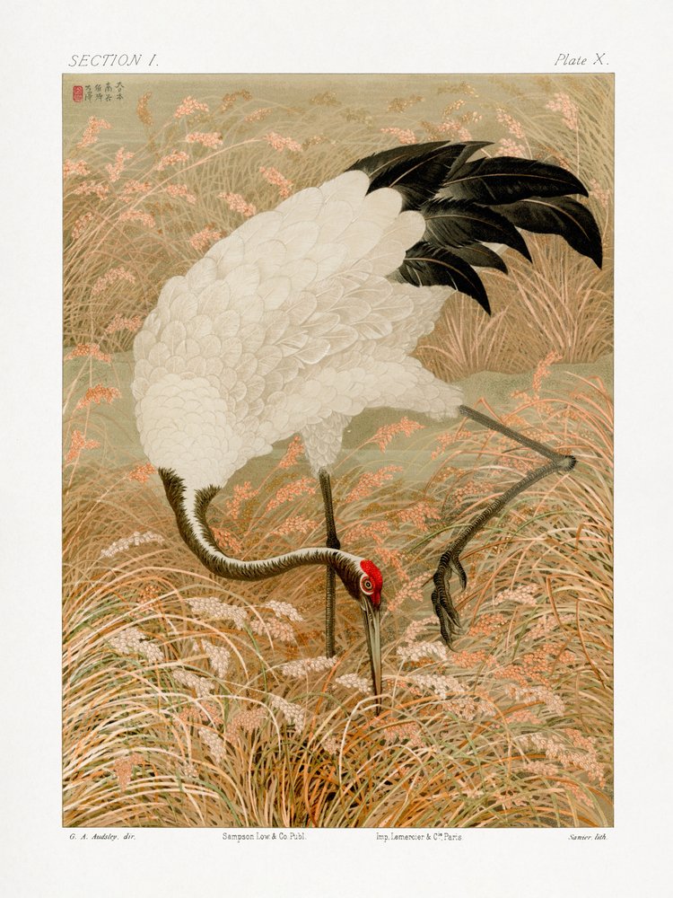  av G.a. Audsley