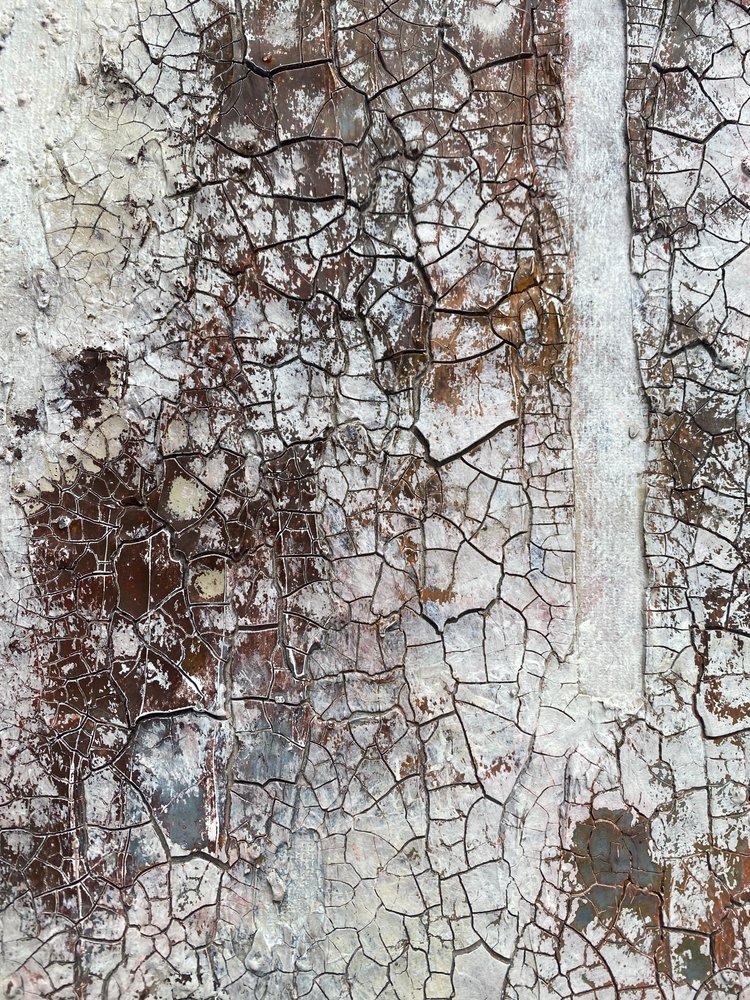  av Gabriela Aleksandra Szuba