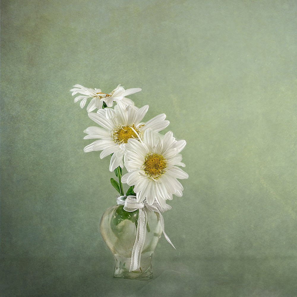 av Gaille Gray