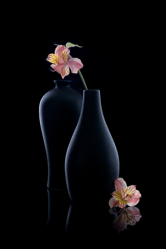 Elegante alstroemeriavaser av GaoSL