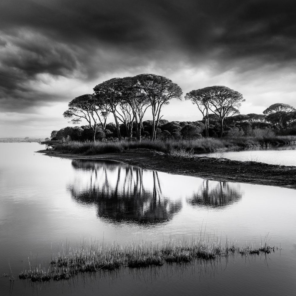  av George Digalakis