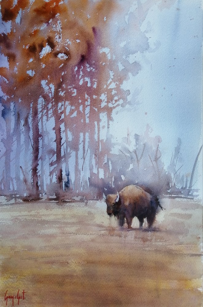 Bison i høsttåke av Giorgio Gosti