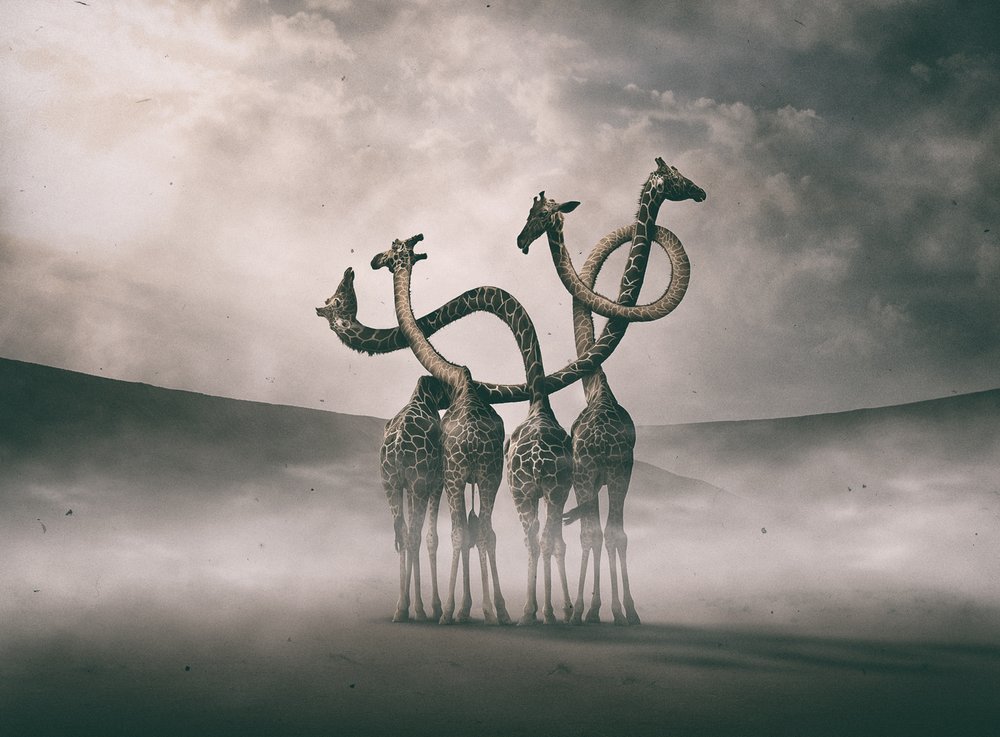  av Hussain Buhligaha