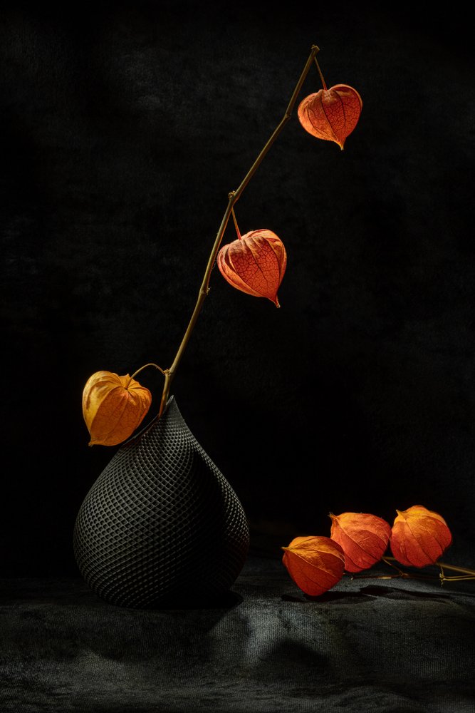 Stilleben med physalis av Igor Kopcev