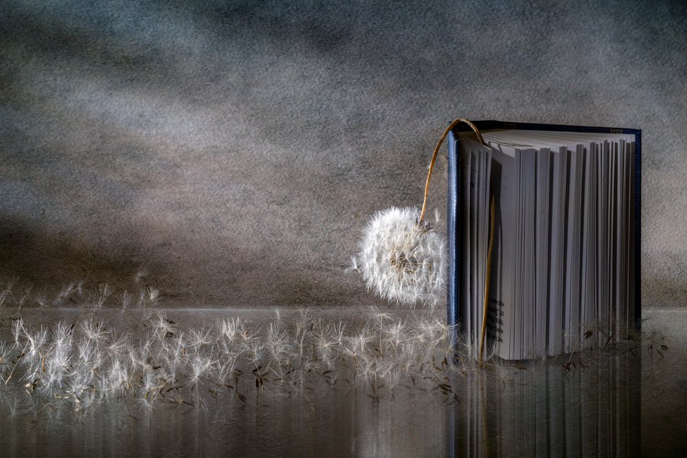 Løvetannbok-refleksjon av Igor Kopcev