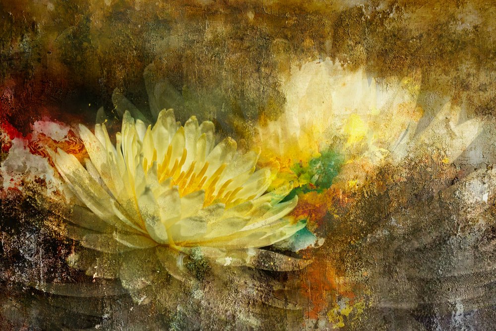 Gylden lotusblomst av Igor Kopcev