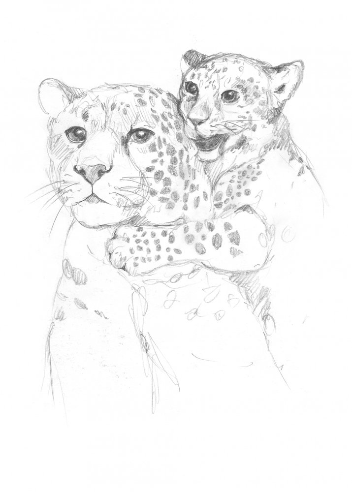 Leoparder av Isabelle Brent