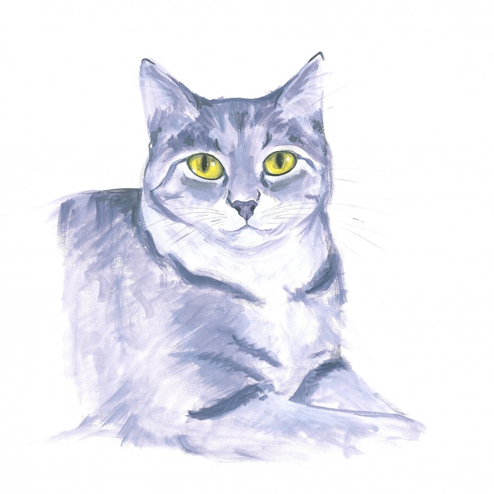Iakttakende katt av Isabelle Brent