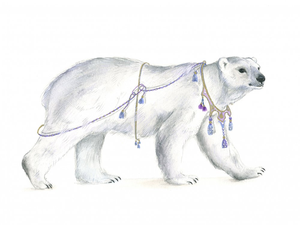 Kongelig polar majestet av Isabelle Brent