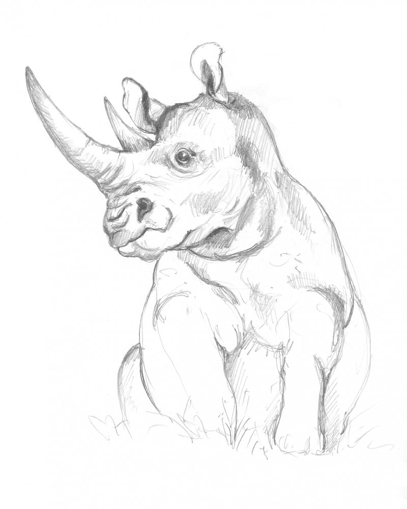 Neshorn av Isabelle Brent