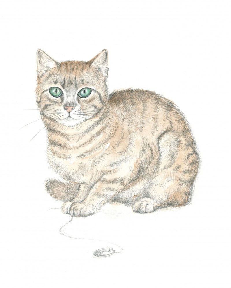 Stripete katt og knapp av Isabelle Brent