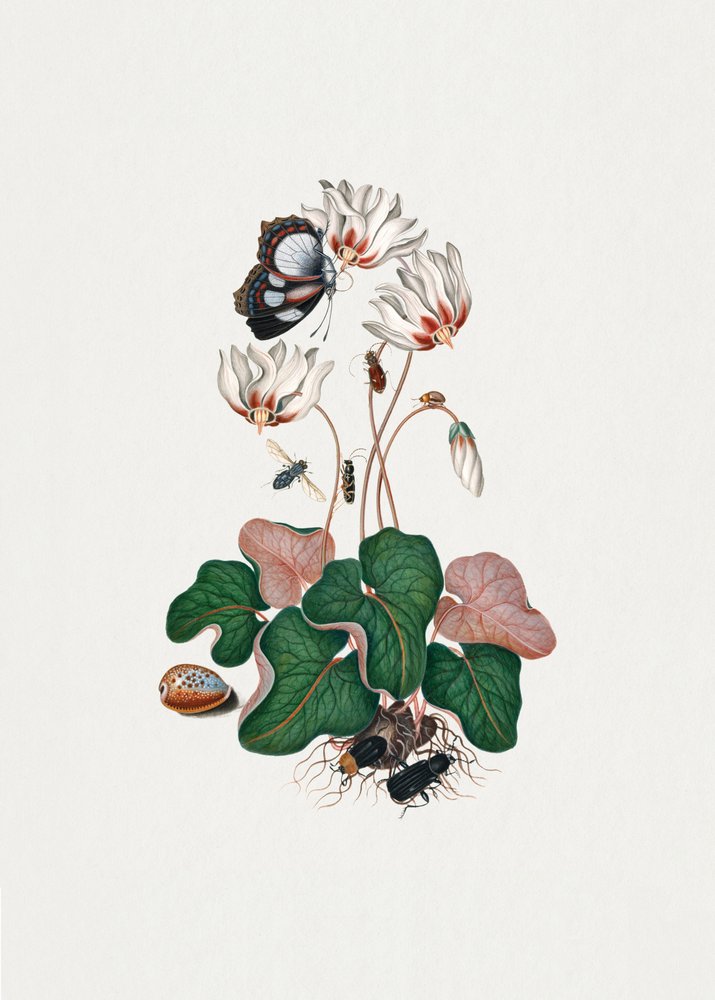  av James Bolton