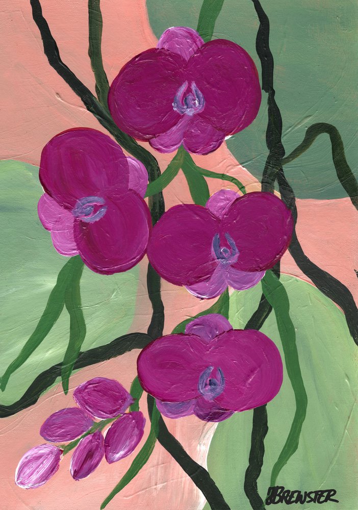 Magenta orkidéblomster av Janine Brewster