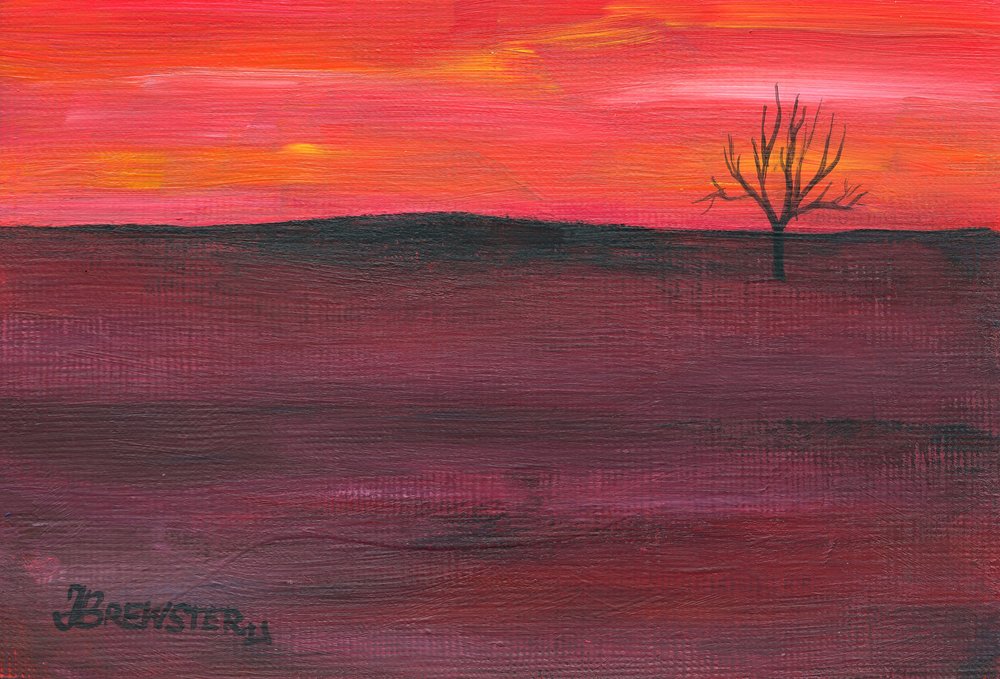 Ensomt tre ved solnedgang av Janine Brewster