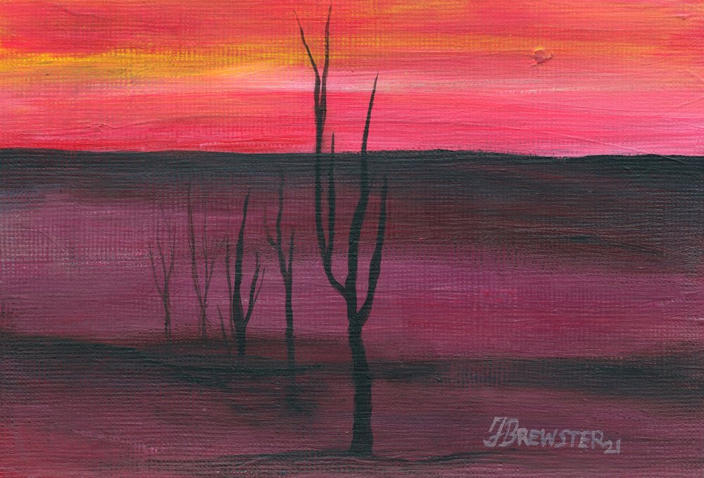 Fargerik solnedgang i ørkenen av Janine Brewster