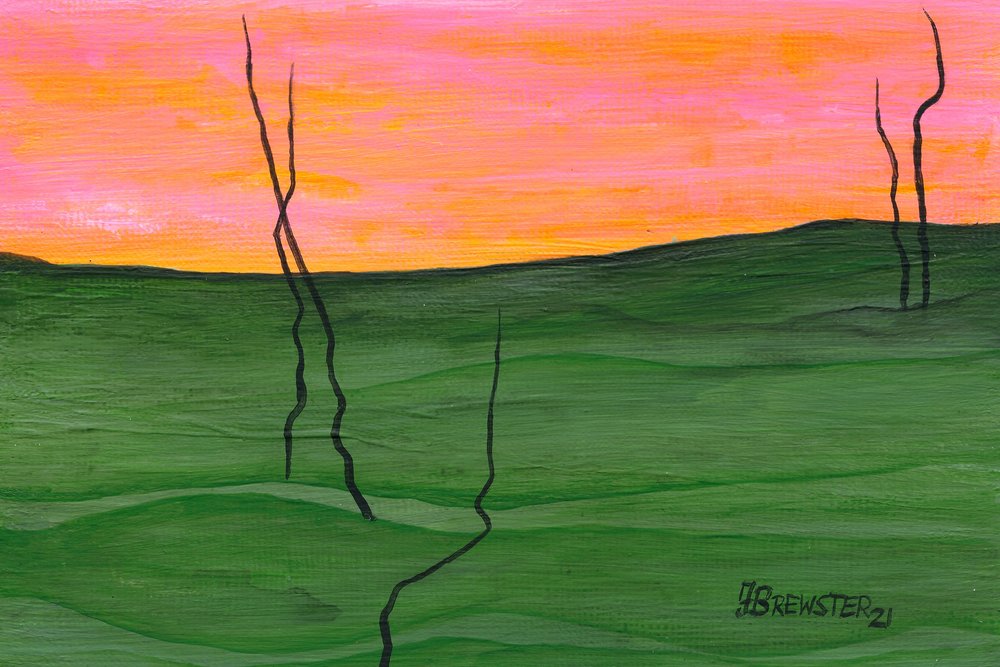 Livlig himmel, grønne åser av Janine Brewster