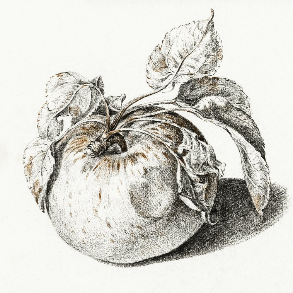  av Jean Bernard