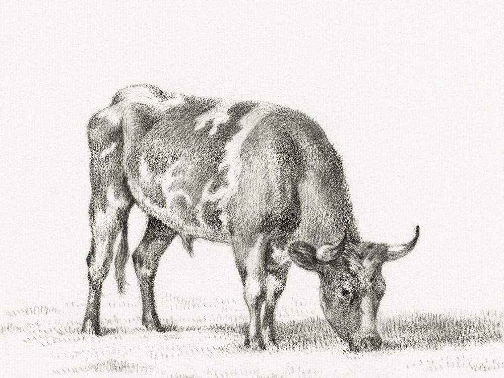  av Jean Bernard