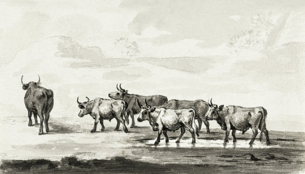  av Jean Bernard