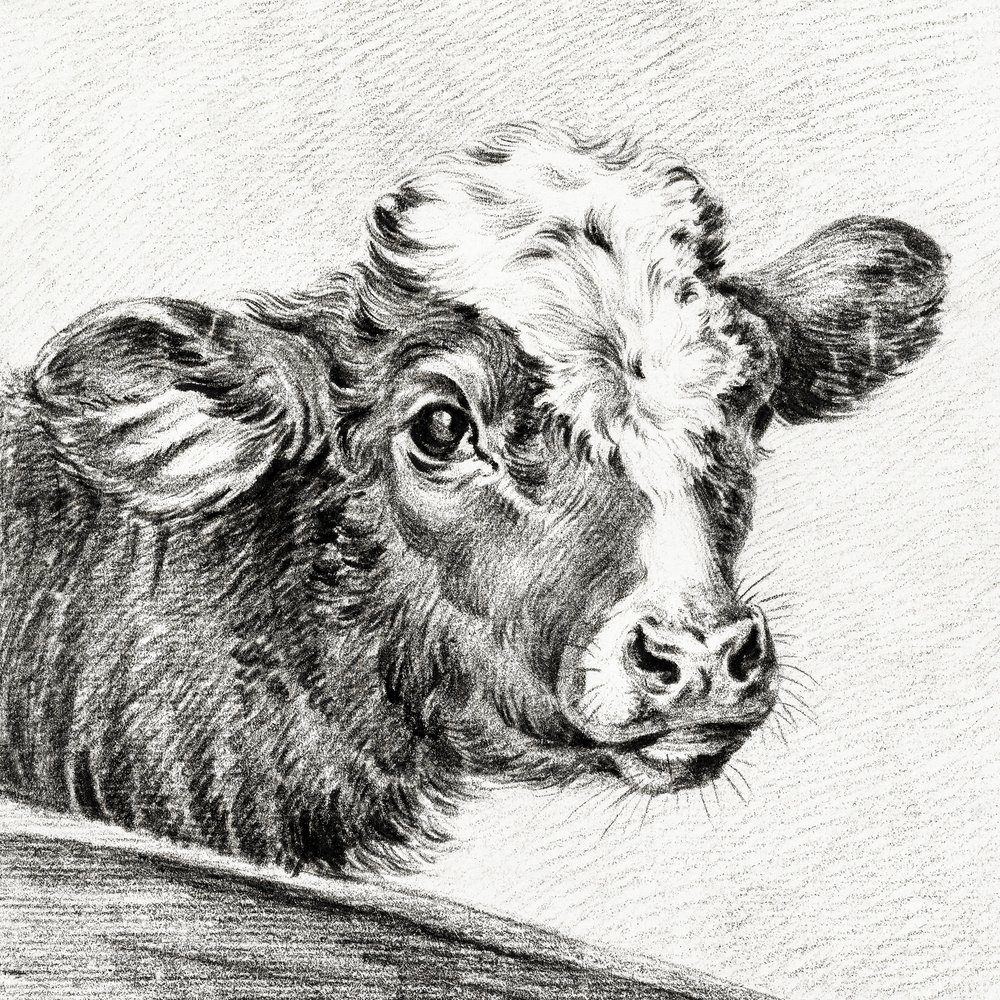  av Jean Bernard