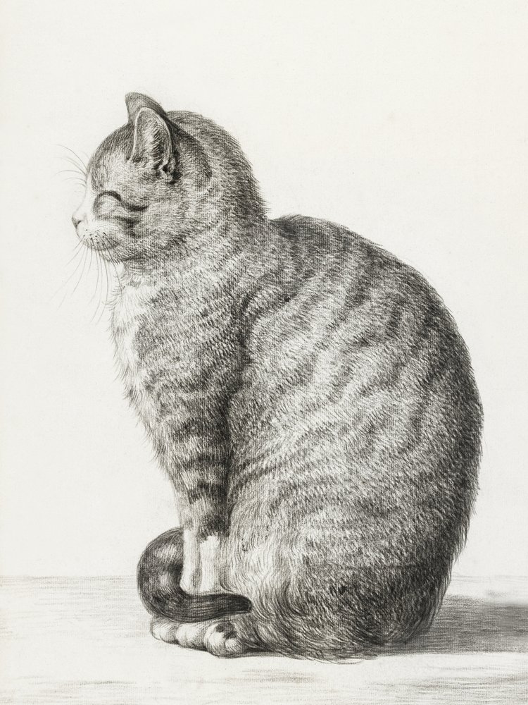  av Jean Bernard