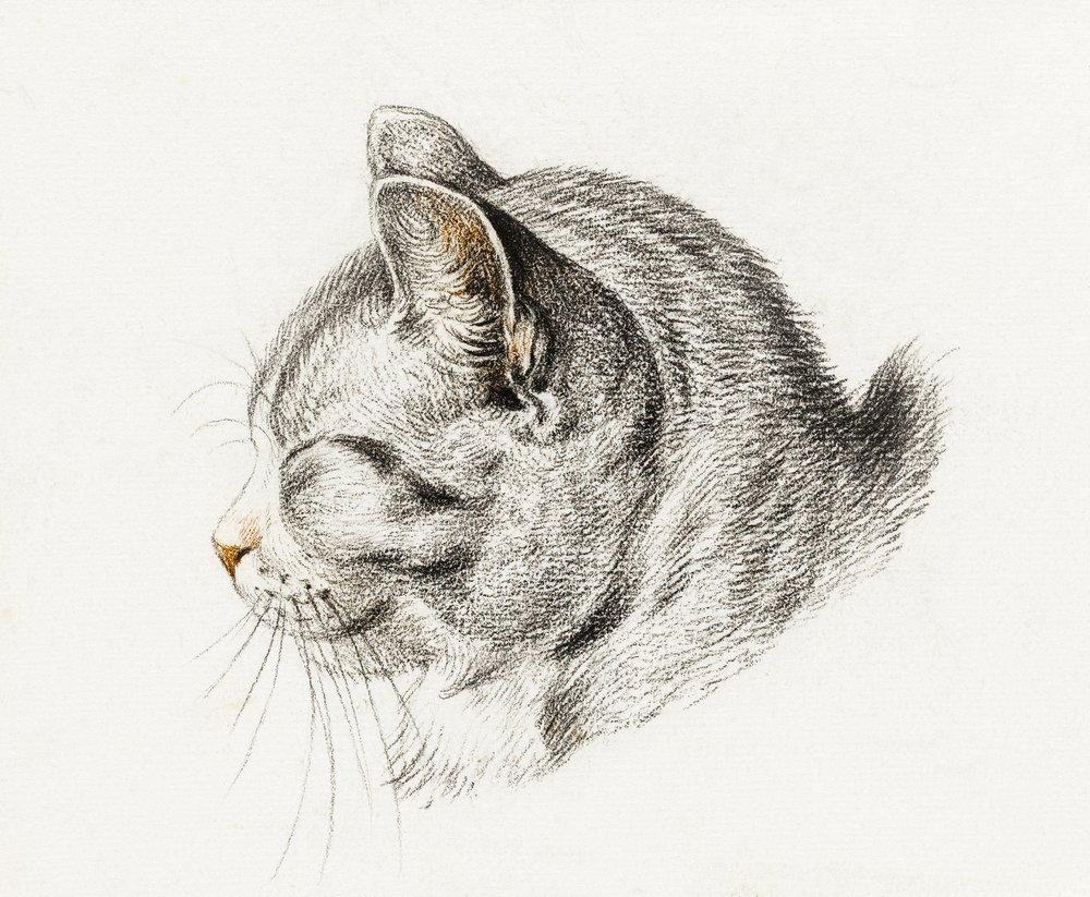  av Jean Bernard