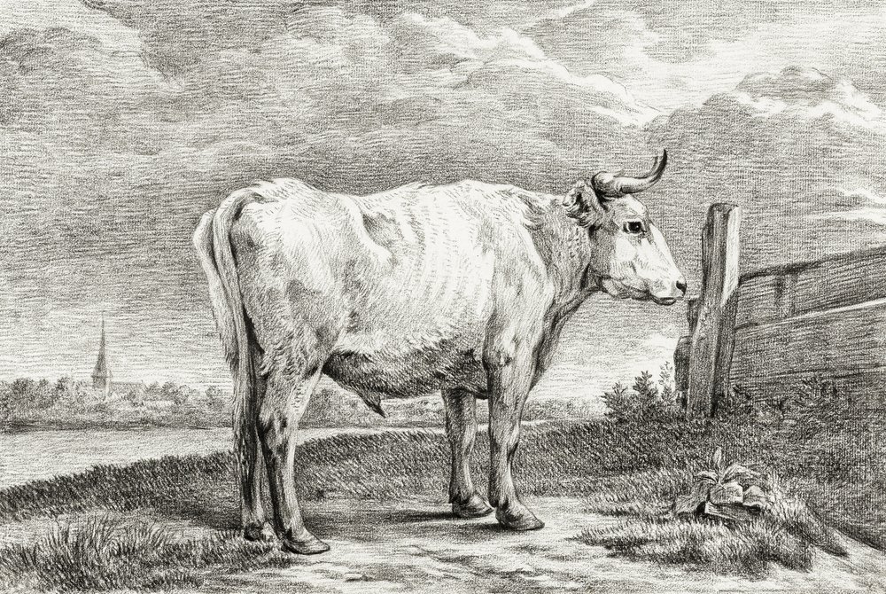  av Jean Bernard