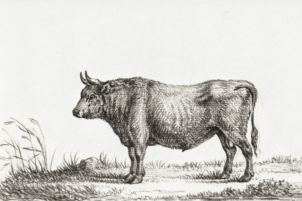  av Jean Bernard