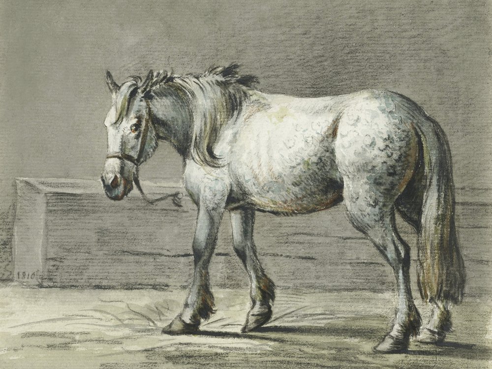  av Jean Bernard