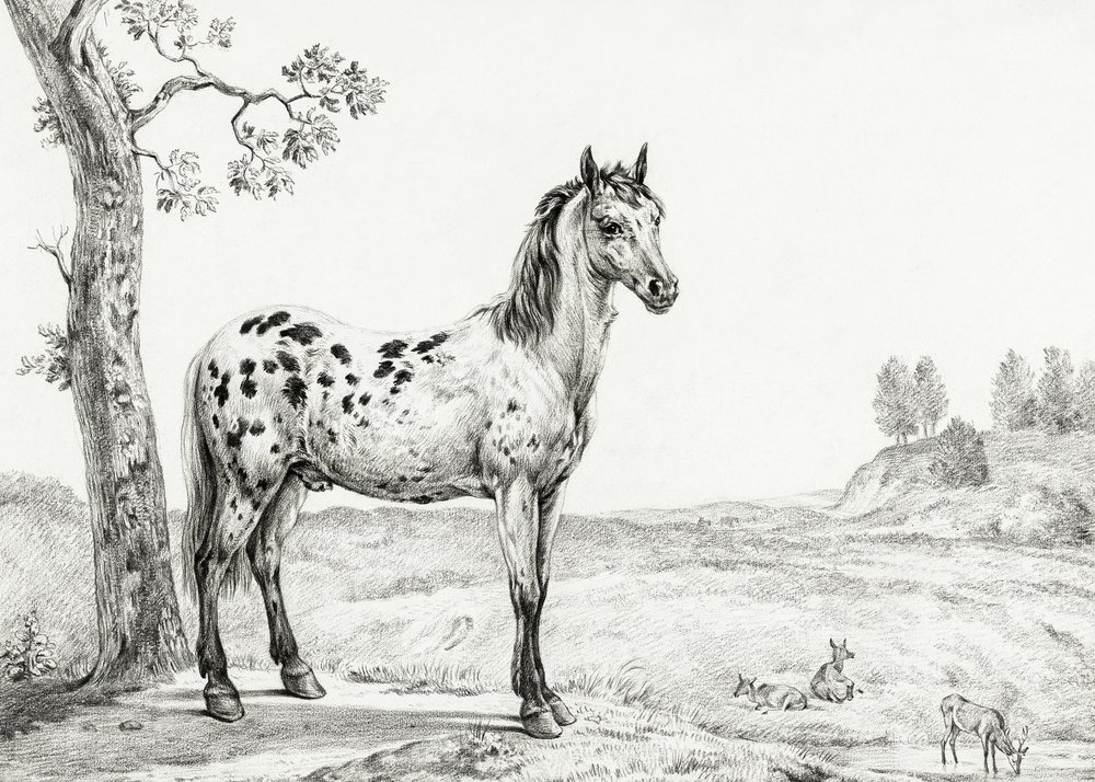  av Jean Bernard