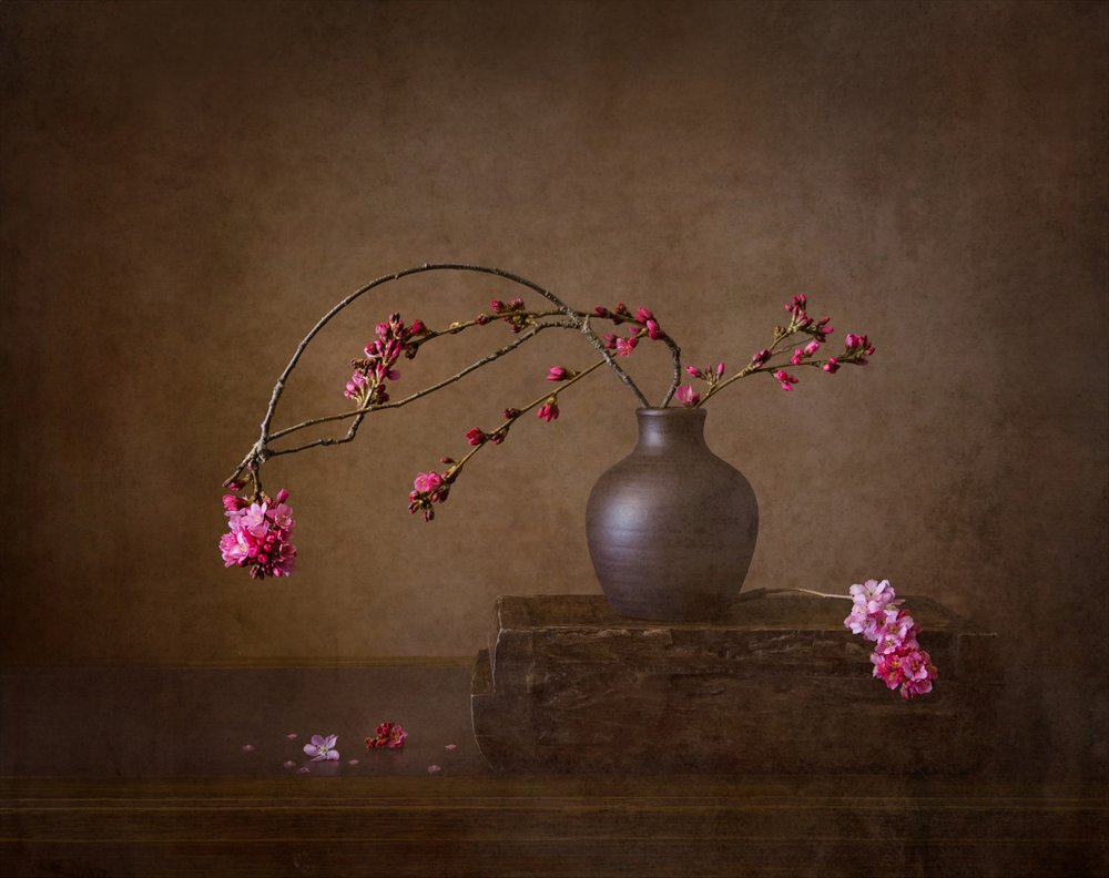 Stilleben med kirsebærblomster av Joanna W