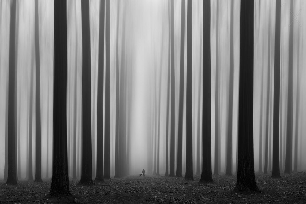  av Jochen Bongaerts