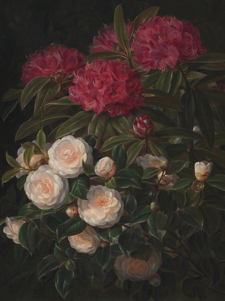 av Johan Laurentz Jensen