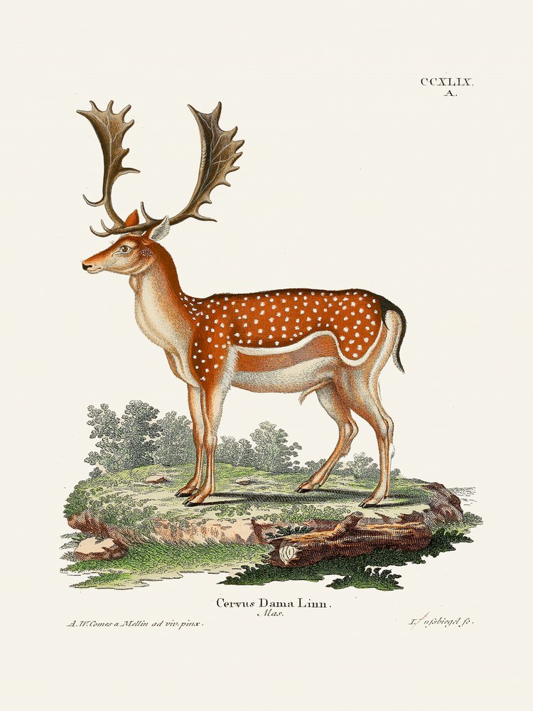  av Johann Christian Daniel Von Schreber