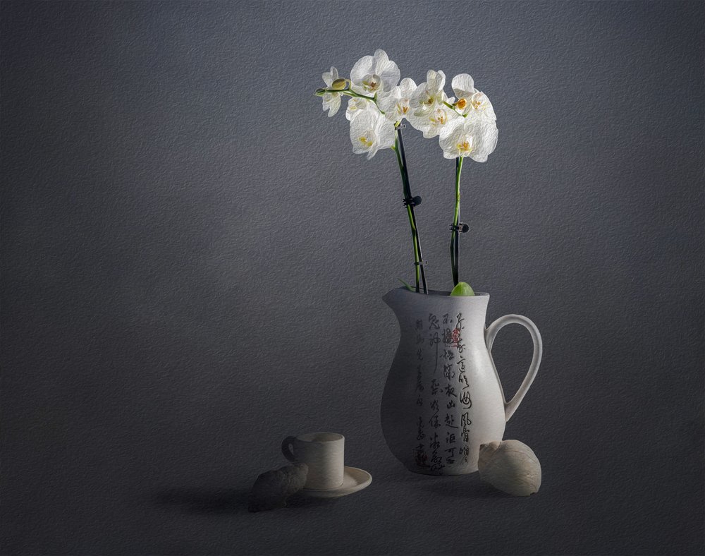 Elegant orkide-stillbilde av John-Mei Zhong