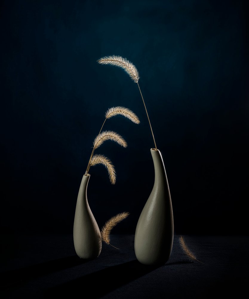 Moody botaniske vaser av John-Mei Zhong