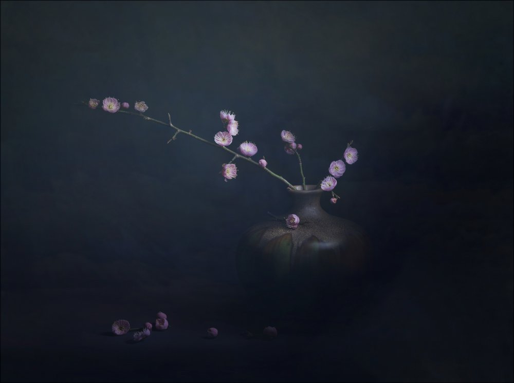Stilleben med plommeblomster av John-Mei Zhong