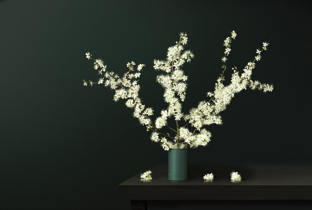 Friske vårblomster av Juan Antonio Palacios