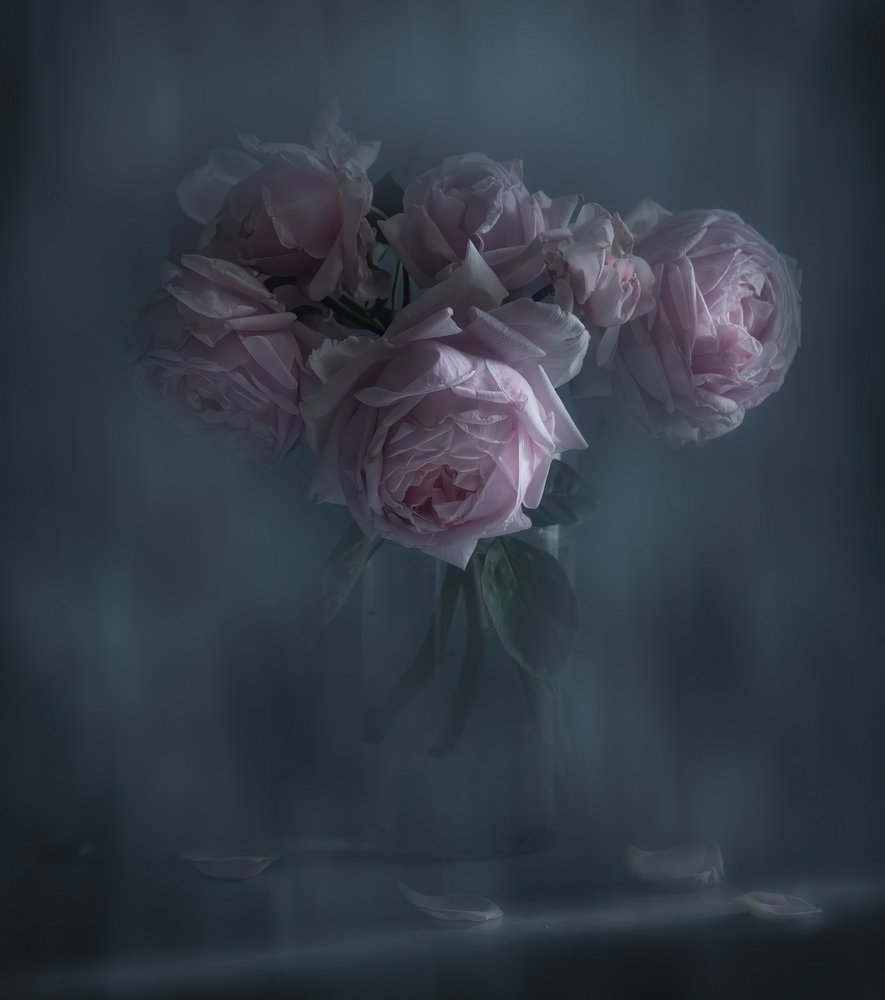 Stemningsfulle rosa roser av Judy Tseng
